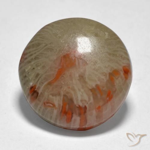 9.21ct Naturale Multicolore Corallo, Rotondo, Traslucido