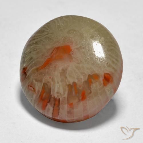 Corallo Multicolore naturale da 9.21 ct, Rotondo, Traslucido