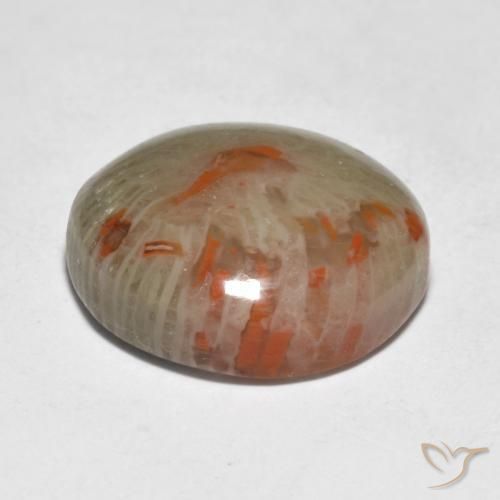 Corallo Multicolore naturale da 9.21 ct, Rotondo, Traslucido