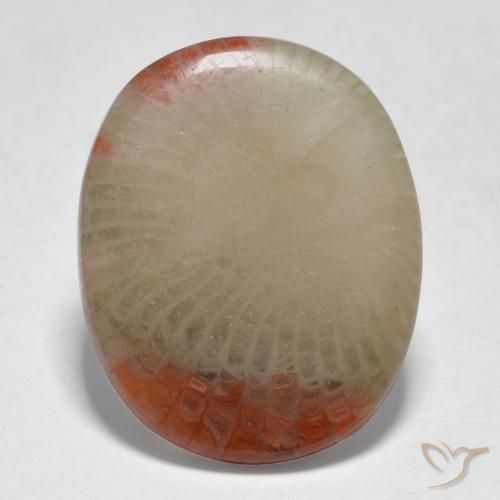 5.98ct Naturale Multicolore Corallo, Ovale, Traslucido