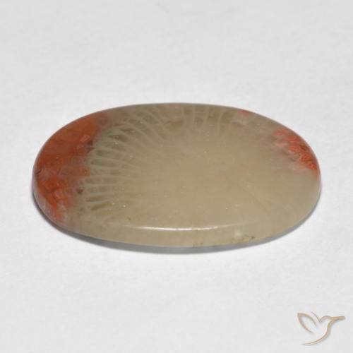 Corallo Multicolore naturale da 5.98 ct, Ovale, Traslucido