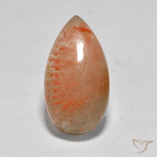 5.79ct Naturale Multicolore Corallo, Forma a pera, Traslucido, Photo A
