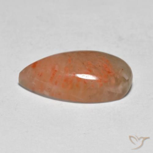 Corallo Multicolore naturale da 5.79 ct, Forma a pera, Traslucido