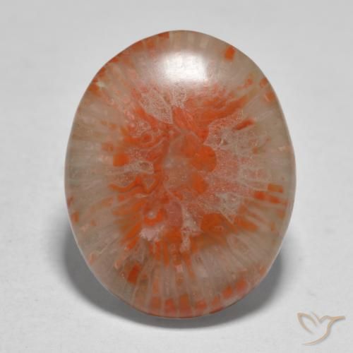 11.21ct Naturale Multicolore Corallo, Ovale, Traslucido
