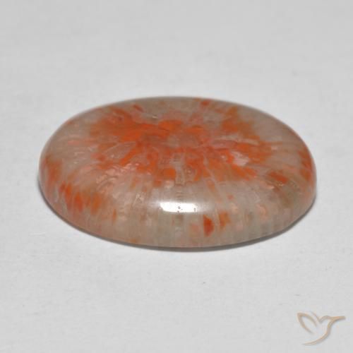 Corallo Multicolore naturale da 11.21 ct, Ovale, Traslucido