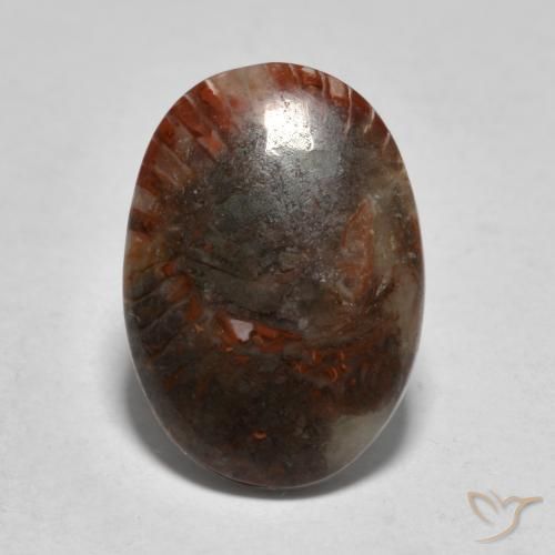 3.57ct Naturale Multicolore Corallo, Ovale, Traslucido