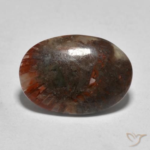Corallo Multicolore naturale da 3.57 ct, Ovale, Traslucido