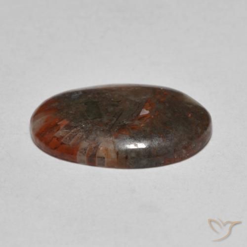 Corallo Multicolore naturale da 3.57 ct, Ovale, Traslucido