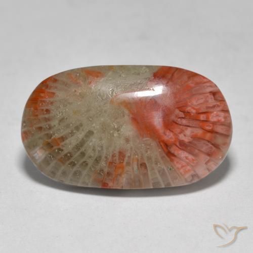 7.97ct Naturale Multicolore Corallo, Ovale, Traslucido