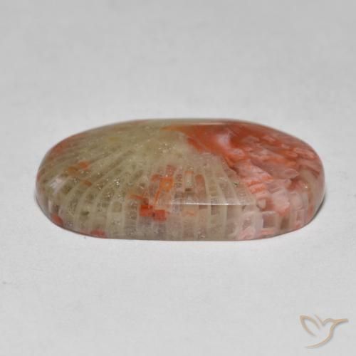 Corallo Multicolore naturale da 7.97 ct, Ovale, Traslucido