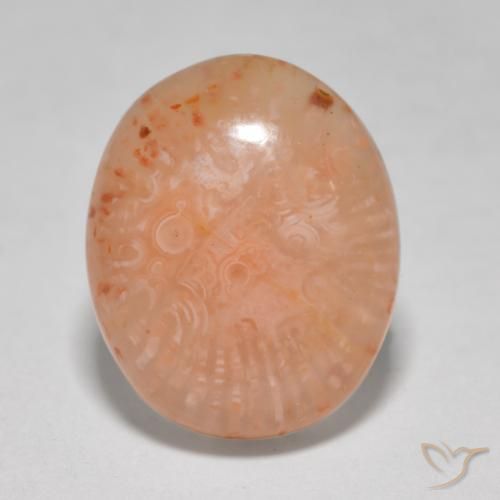 8.68ct Naturale Multicolore Corallo, Ovale, Traslucido