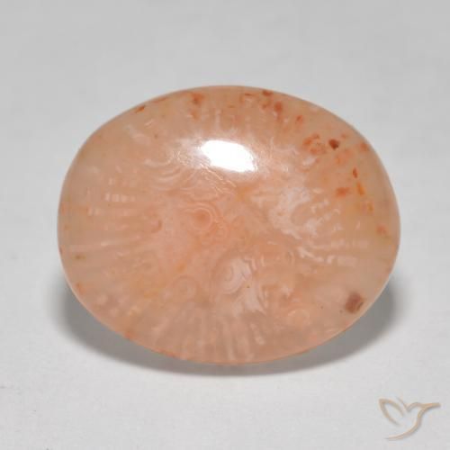 Corallo Multicolore naturale da 8.68 ct, Ovale, Traslucido