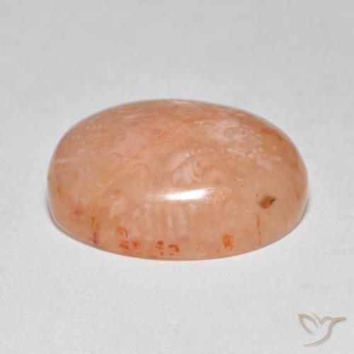 Corallo Multicolore naturale da 8.68 ct, Ovale, Traslucido