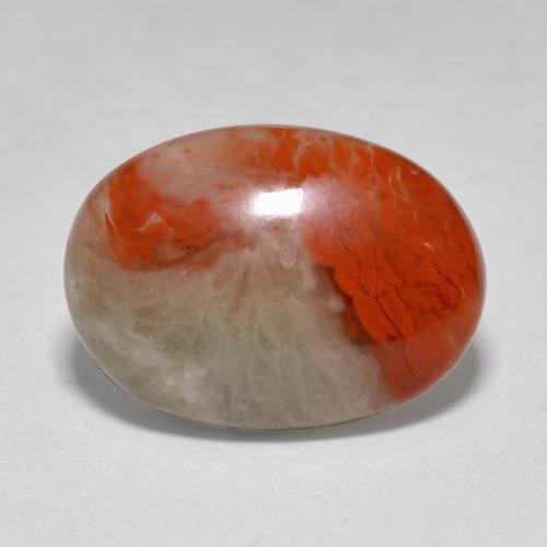Corallo naturale multicolore da 4,58 ct, taglio ovale, traslucido