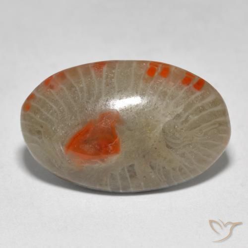 9.31ct Naturale Multicolore Corallo, Ovale, Traslucido