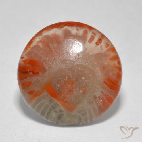 5.76ct Naturale Multicolore Corallo, Rotondo, Traslucido