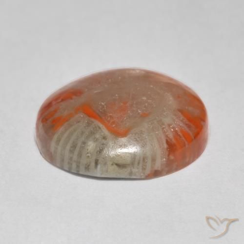 Corallo Multicolore naturale da 5.76 ct, Rotondo, Traslucido