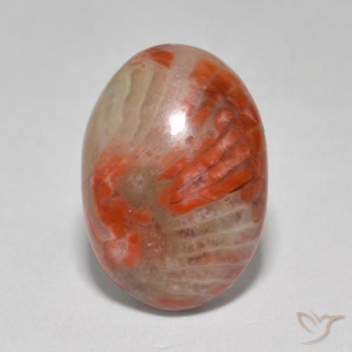 6.07ct Naturale Multicolore Corallo, Ovale, Traslucido