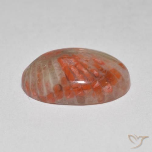 Corallo Multicolore naturale da 6.07 ct, Ovale, Traslucido