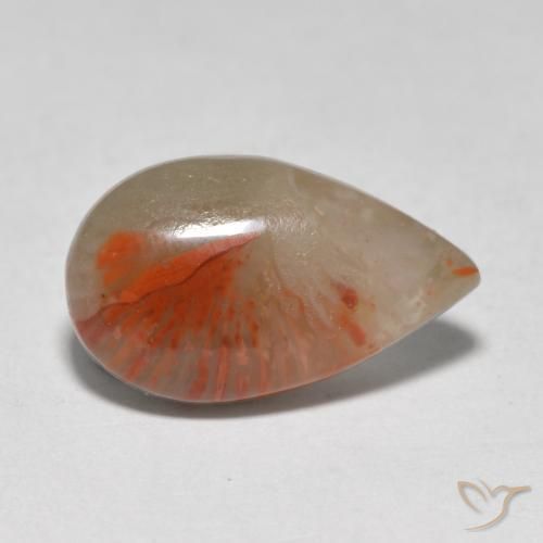 Corallo Multicolore naturale da 4.61 ct, Forma a pera, Traslucido