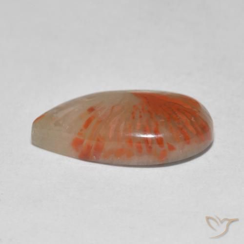 Corallo Multicolore naturale da 4.61 ct, Forma a pera, Traslucido
