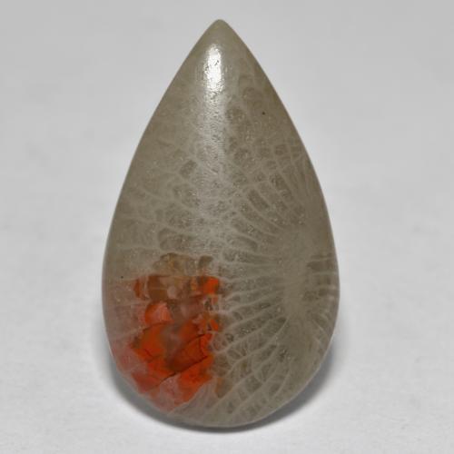 Corallo naturale multicolore da 10,70 ct, taglio a pera, traslucido