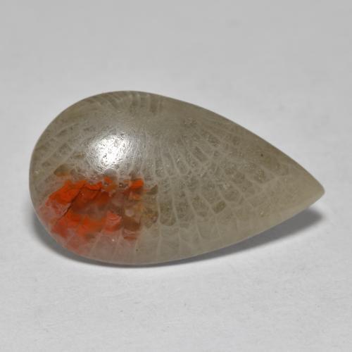 Corallo naturale multicolore da 10,70 ct, taglio a pera, traslucido