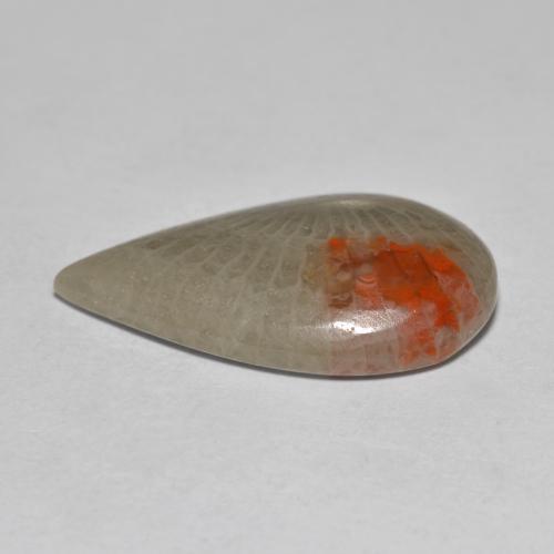 Corallo naturale multicolore da 10,70 ct, taglio a pera, traslucido