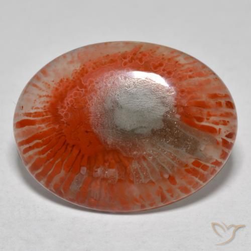 Corallo naturale multicolore da 8,54 ct, taglio ovale, traslucido