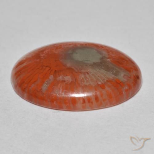 Corallo naturale multicolore da 8,54 ct, taglio ovale, traslucido