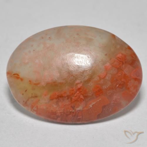 8.13ct Naturale Multicolore Corallo, Ovale, Traslucido