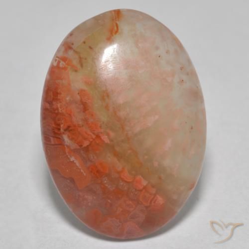 Corallo Multicolore naturale da 8.13 ct, Ovale, Traslucido