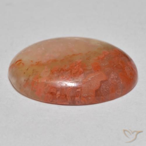 Corallo Multicolore naturale da 8.13 ct, Ovale, Traslucido
