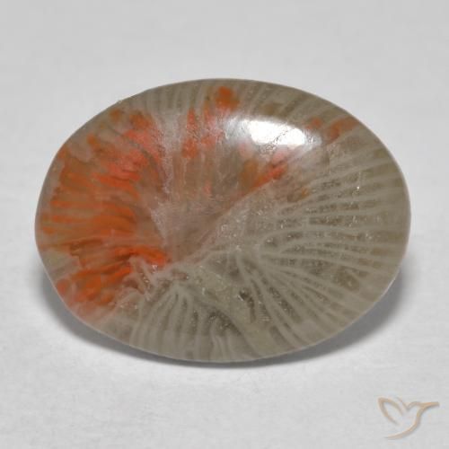 4.11ct Naturale Multicolore Corallo, Ovale, Traslucido