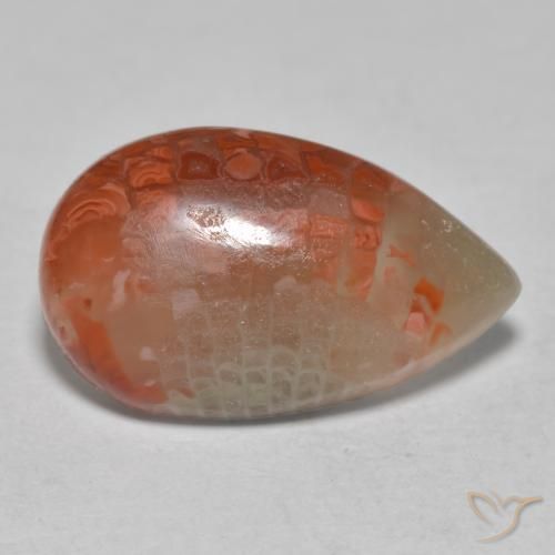 Corallo Multicolore naturale da 6.49 ct, Forma a pera, Traslucido