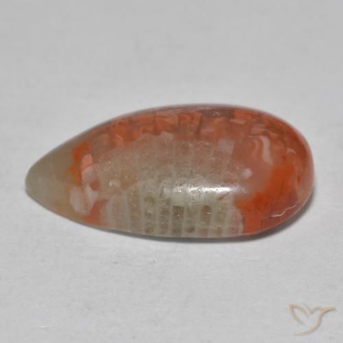 Corallo Multicolore naturale da 6.49 ct, Forma a pera, Traslucido