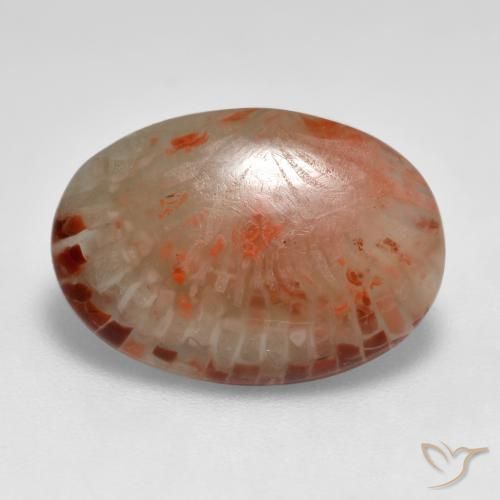 6.24ct Naturale Multicolore Corallo, Ovale, Traslucido