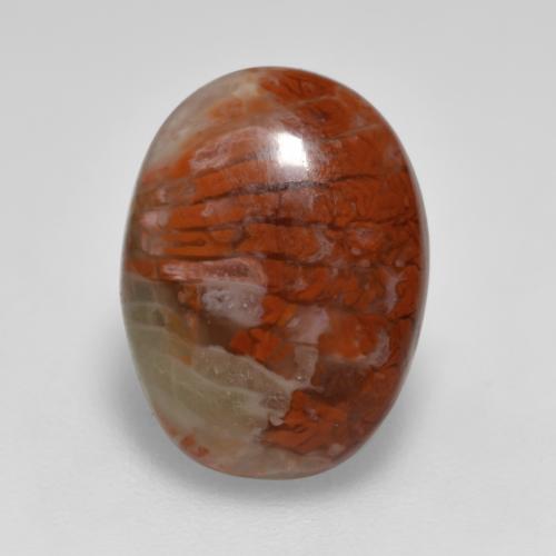 Corallo Multicolore naturale da 4.12 ct, Taglio ovale, Traslucido