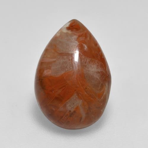 Corallo Multicolore naturale da 3.56 ct, Forma a pera, Traslucido