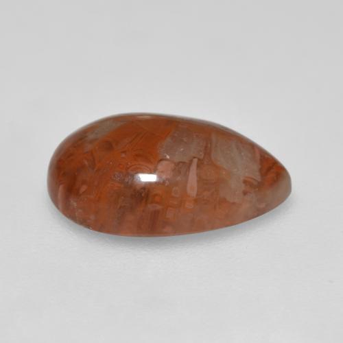 Corallo Multicolore naturale da 3.56 ct, Forma a pera, Traslucido