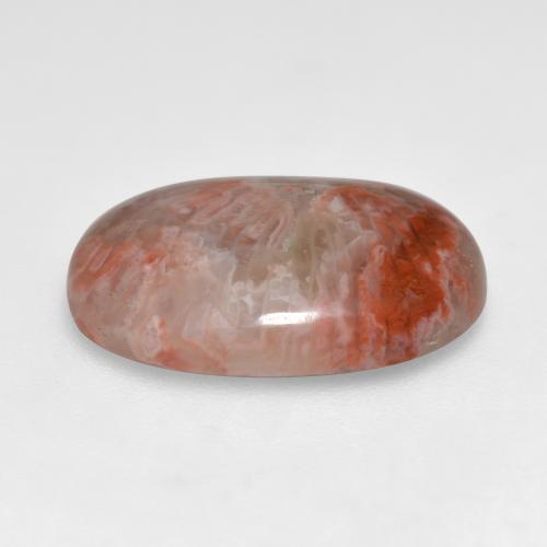 Corallo naturale multicolore da 7,40 ct, taglio ovale, traslucido