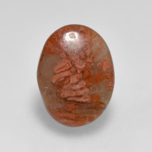 Corallo Multicolore naturale da 2.52 ct, Taglio ovale, Traslucido