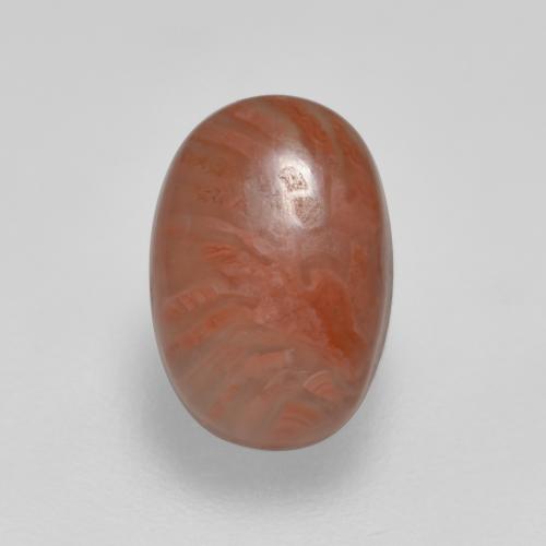 Corallo naturale multicolore da 2,11 ct, taglio ovale, traslucido