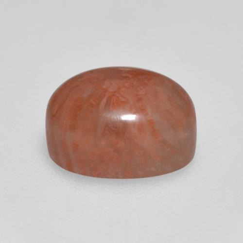 Corallo naturale multicolore da 2,11 ct, taglio ovale, traslucido