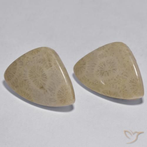 Gemme di Corallo Multicolore naturale da 17.33 ct, Taglio a fantasia, Opaco