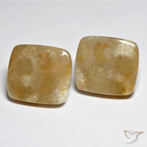 Gemme di Corallo Multicolore naturale da 31.45 ct, Cuscino, Opaco