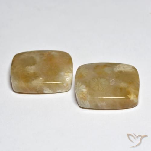 Gemme di Corallo Multicolore naturale da 31.45 ct, Cuscino, Opaco