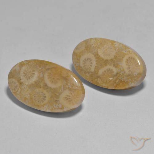 Gemme di Corallo Multicolore naturale da 27.96 ct, Ovale, Opaco