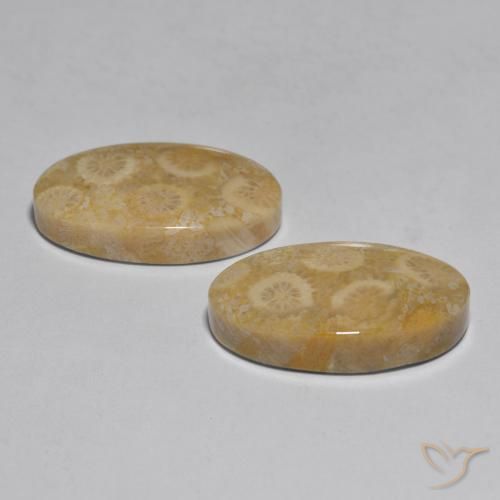 Gemme di Corallo Multicolore naturale da 27.96 ct, Ovale, Opaco