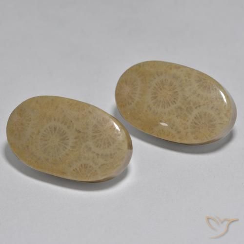 Gemme di Corallo Multicolore naturale da 26.78 ct, Ovale, Opaco
